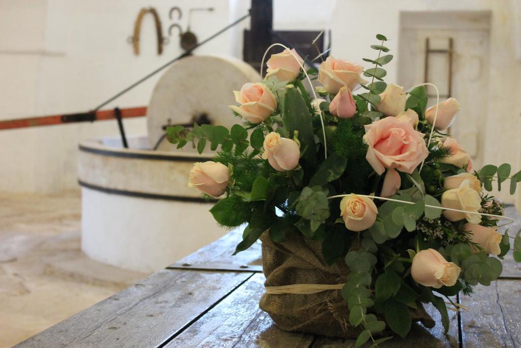 Masseria Gianecchia Cisternino Exteriér fotografie