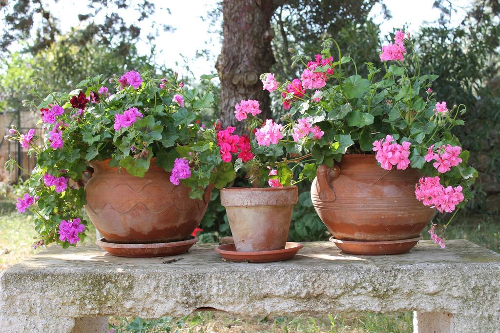 Masseria Gianecchia Cisternino Exteriér fotografie