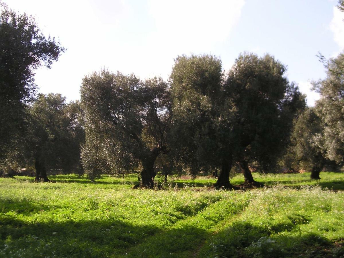 Masseria Gianecchia Cisternino Exteriér fotografie